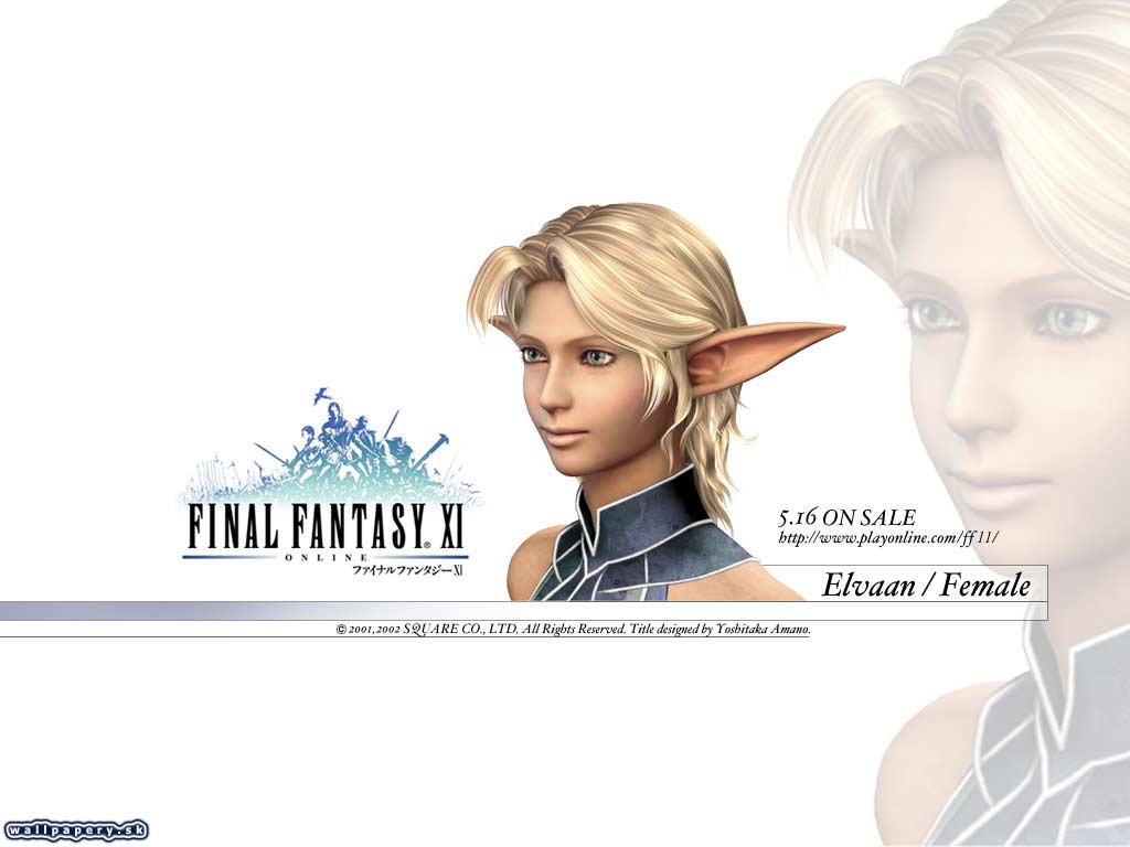 Final Fantasy XI: Online - wallpaper 23