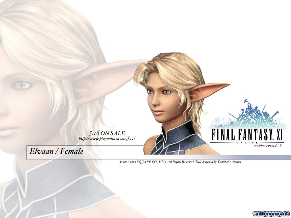 Final Fantasy XI: Online - wallpaper 24
