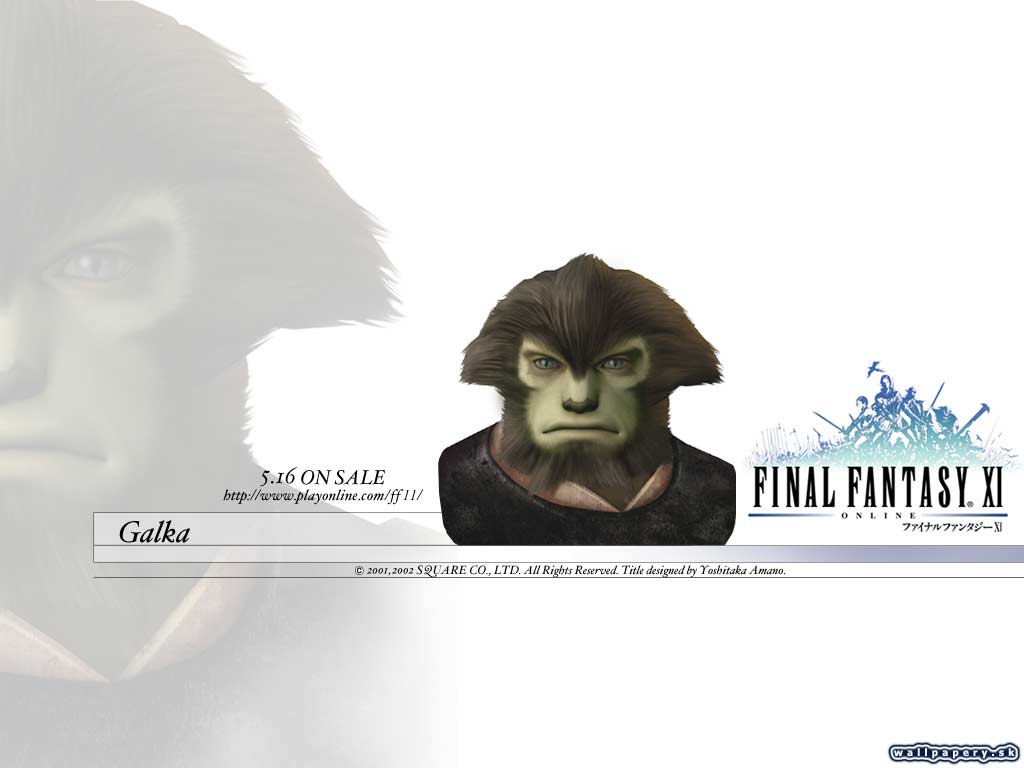 Final Fantasy XI: Online - wallpaper 26