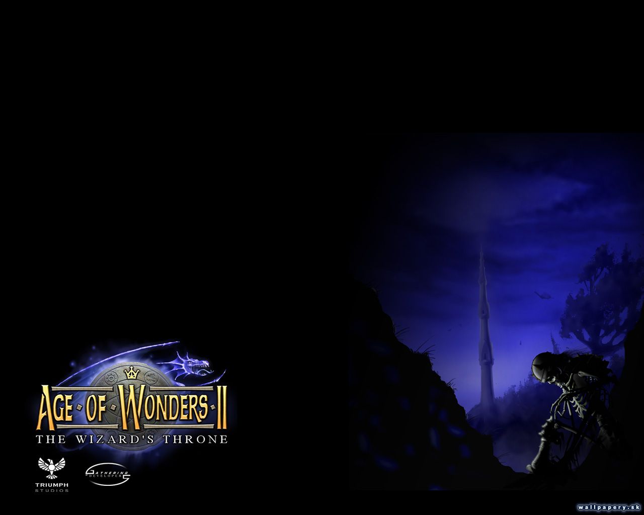 Age of Wonders 2: The Wizard's Throne - wallpaper 2